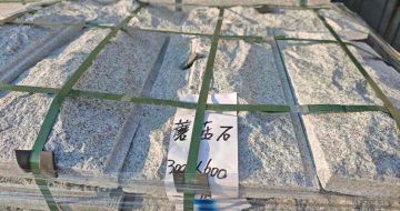 玉林芝麻白蘑菇石，自然面